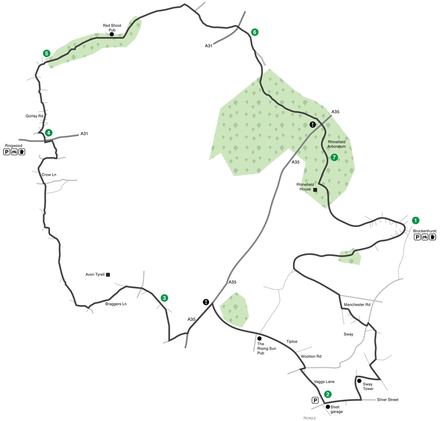 New forest cycle root - Red Shoot