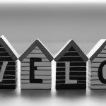 No velo love in the forest