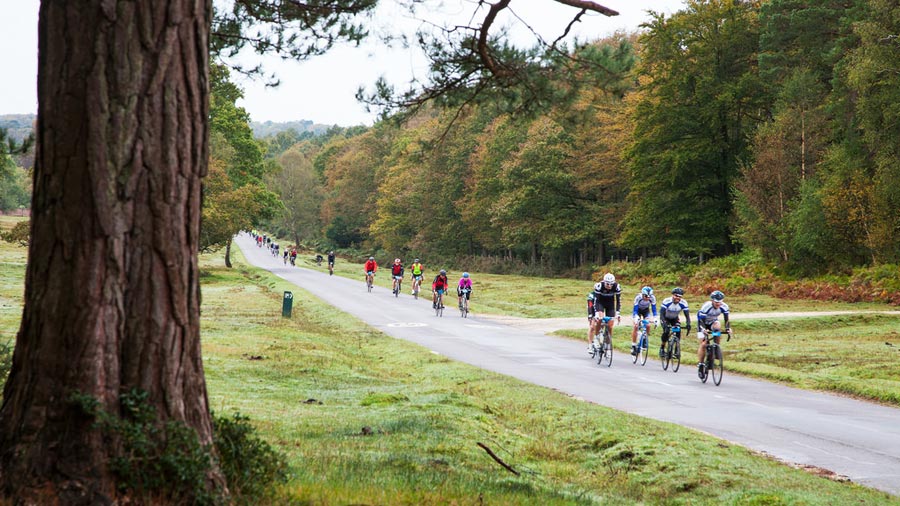 New Forest Wiggle Sportive