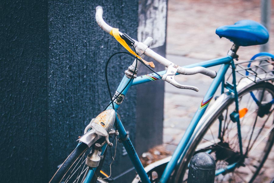 New Forest Bike Project