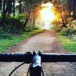 New Forest gravel path