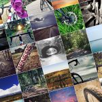 Forty Niner photo collage